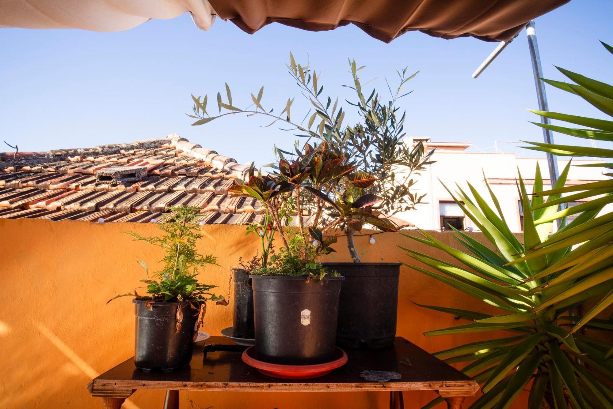 Hostel Tenerife La Orotava Esterno foto